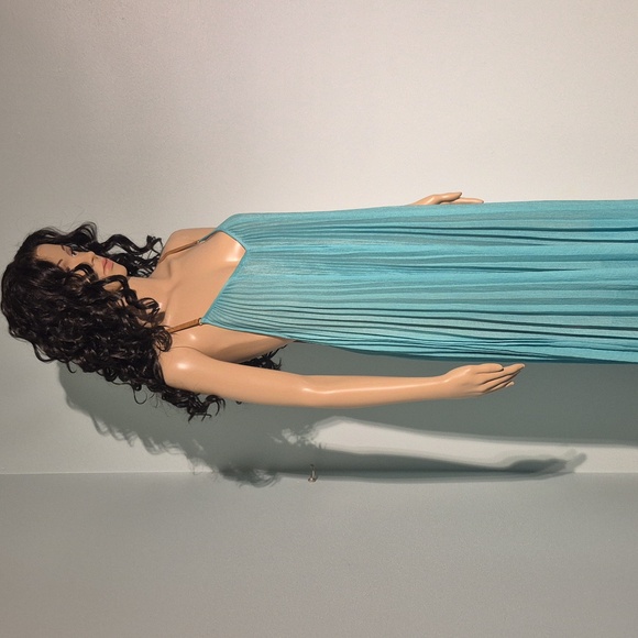 BCBGMAXAZRIA Pleated Maxi Dress NWT Size L - Picture 3 of 17